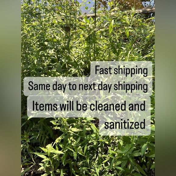 Meet your Posher, Sandra - Picture 12 of 15